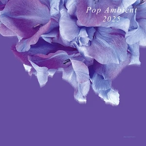 Various Artists Pop Ambient 2025 (Vinyl) 12" Album - Picture 1 of 1