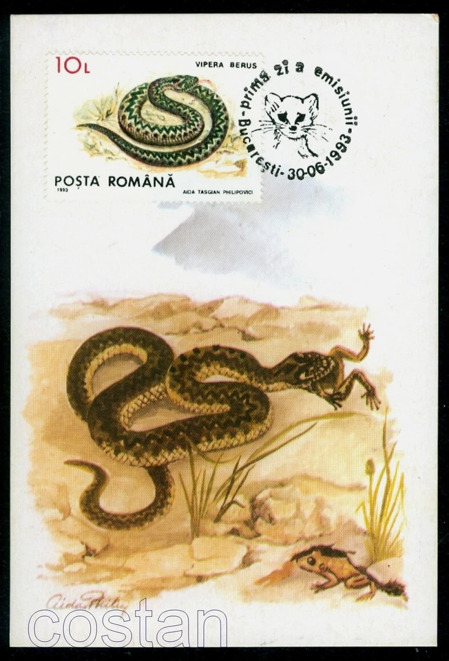 1993 Common European viper,Frog,Kreuzotter,Protected Fauna,Romania,FDC maxi card - Image 1 of 1