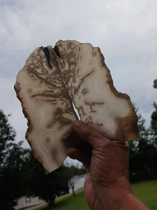 414g Pair Of Natural Cherry Blossom Agate Geode Slice Extra Large Gemstone - Picture 1 of 9