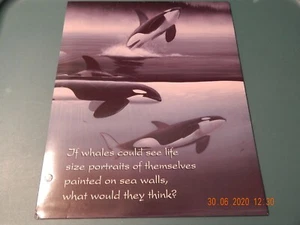 VINTAGE WYLAND NORTHERN MIST 1997 ORCA KILLER WHALE SCHOOL COLLEGE FOLDER - Picture 1 of 4