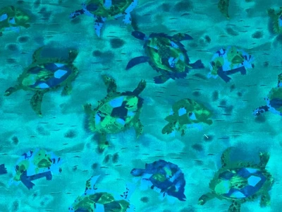 Tela de Algodón Tortugas Azul Hubble Rosa Colección Londres Vintage Por 1/2 Yarda Foto 1 de 3