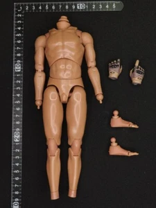 1:6 Scale Mini Times M043 101st Airborne Division - Body w/ Hands & Feet NO HEAD - Picture 1 of 2
