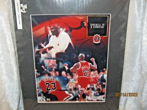 MICHAEL JORDAN FAREWELL TO A CHAMPION LIMITED EDITION PHOTO - Picture 1 of 7