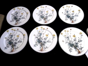Villeroy & Boch "BOTANICA" 6 flache Teller, ca 24 cm , sehr guter Zustand - Bild 1 von 3