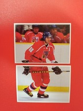 Jaromir Jagr Czech Republic, Czech sticker edition