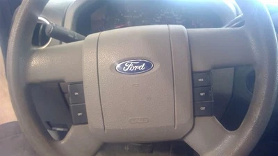 Bolsa de aire gris volante conductor Ford F150 2004-2008 Foto 1 de 4