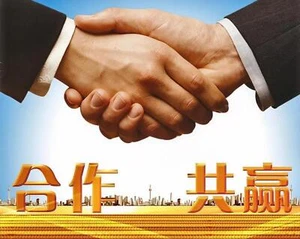 Exclusive link for long-term cooperation with customers VIP - Afbeelding 1 van 1