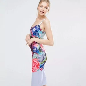 Authentisches Ted Baker Emore figurbetontes Kleid im Fokus Bouquet Print Midi Größe Small - Bild 1 von 11