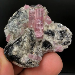 46 Grams Very Unique Quality Pink Color Tourmaline with Quartz Specimen @Afghan - Picture 1 of 6