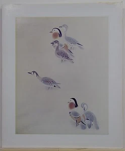 Poster "Vögel", Madeleine, schöne Reproduktion auf Karton - Bild 1 von 5