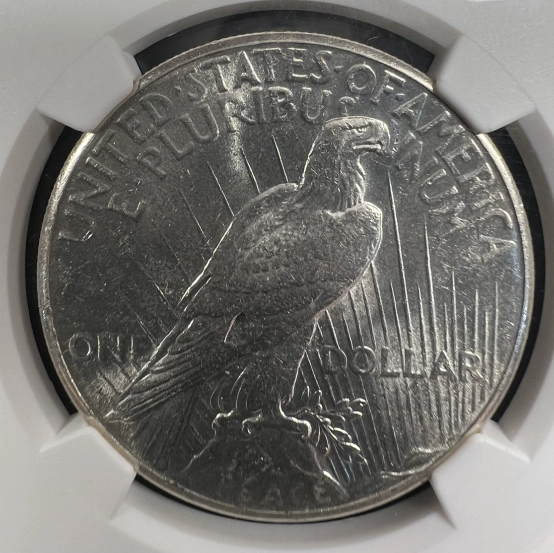 Silver MS 60 Graded 1928 Year Peace Dollars (1921-1935) for sale