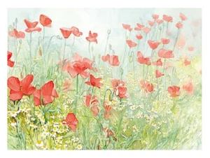 50 Papiertischsets 43x30cm Mohnblumen Motiv Platzsets Tischunterlage - Bild 1 von 1
