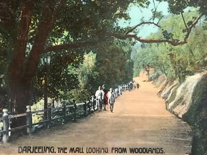 Vintage Postcard DARJEELING The Mall, India RP tinted - Picture 1 of 3
