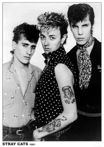 STRAY CATS 1981 Group Poster ROCK rockabilly 80s New Wave POP 50s 36x24 The Rev' - Picture 1 of 22