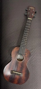Gretsch Elektro Ukulele - Bild 1 von 5