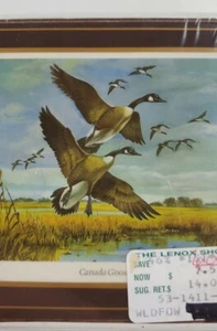 New Sealed English Life 6 Coasters North America Wildfowl Canada Goose - Picture 1 of 6