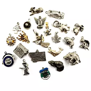 Vintage Sterling Silver Charm Lot Set Of 12 ASSORTED MISC Animals Nature 51.4G - Picture 1 of 8