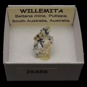 WILLEMITA (Beltana m., Puttapa, South Australia, Australia) #25456 / Willemite - Bild 1 von 1