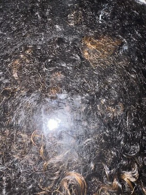 Motown Tress 100% Human Hair Curly Wig/Weave - Gently Used - Image 1 of 3