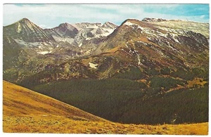 Vintage Colorado Chrome Postcard Rocky Mountain Park Gorge Lake Forest Canyon - Picture 1 of 2