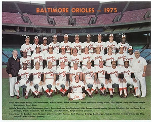 1975 BALTIMORE ORIOLES 8x10 TEAM PHOTO PICTURE - Picture 1 of 1