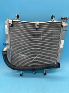 Gruppo radiatore MV Agusta F3 USATO 8000B5970 - Foto 1 di 5