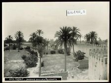 Maroc photo ancienne. TIZNIT. Jardins sous les Remparts . entre 1937 et 1940