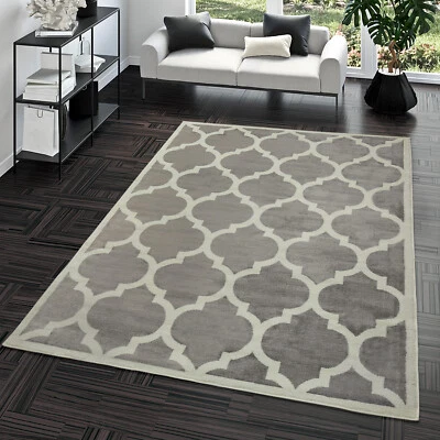 Tapis Poils Ras Moderne Design Marocain Salon Intérieur Tendance Gris