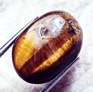 22.25CT Natural Ojo Tigre Forma Ovalada Suelto Piedra Preciosa Certificado - Picture 1 of 6