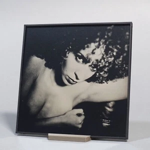 Original Akt Ambrotypie Fotografie - Tintype französisches Mädchen nasse Platte Kollodium 03 - Bild 1 von 3