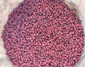 Annatto Samen 100g Anattosamen Anattosaat - Bild 1 von 3