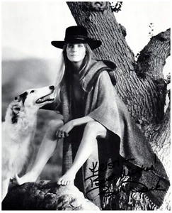 Original handsigniertes BO DEREK handsigniertes 8x10 Foto "10" Schauspielerin & Supermodel - Bild 1 von 1