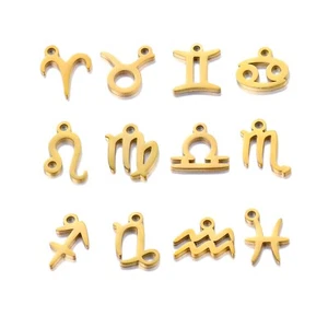 1 Set Edelstahl 12 Sternbilder Charms zum Selbermachen Schmuckherstellung Anhänger - Bild 1 von 8