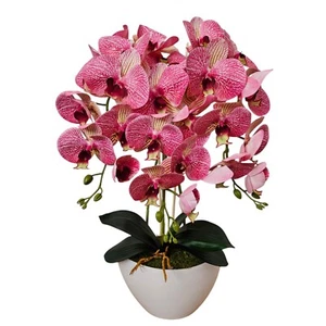 Orchidea artificiale Damich, in gomma, vaso bianco, 3pgrk2 - Imagen 1 de 1