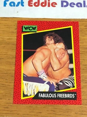IMPEL MARKETING 1991 WCW JIMMY GARVIN FABULOUS FREEBIRDS CARD 119 EXCELLENT - Image 1 of 2
