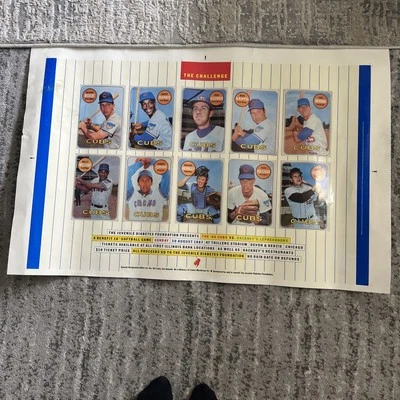 1969 Chicago Cubs Team 20x30 Poster - Image 1 of 4