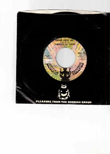 Syndicate of Sound Psych Rock 45 (Buddah BDA 156) Brown Paper Bag/Reverb Beat - Picture 1 of 2