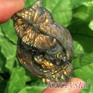 2" Natural Labradorite Owl Skull Carved Crystal Spectrolite Quartz Skull - Picture 1 of 10