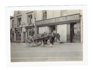 Horse Cart Peddler in Front of Grocery Provision Store & Bakery Lake View Cafe - Picture 1 of 1