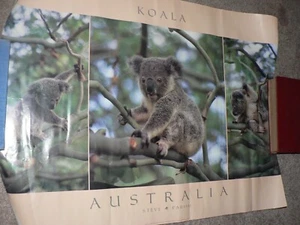 Vintage Poster Australia Koala by Steve Parish rolled 17" x 23 1/2" - Picture 1 of 3