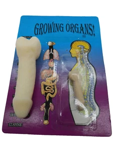 10 Mix Growing Gag Giocattolo Espandi 600% Corpo Organo Solido e Altro Acqua Fredda Novità US - Foto 1 di 1