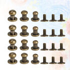72 Brass Rivet Caps for DIY Crafts & Repairs