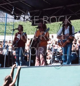 RARE 1974 Crosby Stills Nash Young FANS Oakland DOG Slides & Digital Never Seen! - Picture 1 of 24