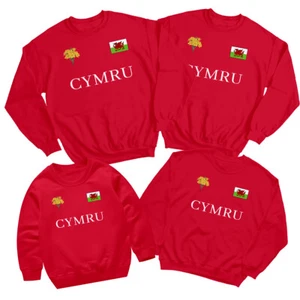 Welsh Cymru Flag Badge Daffodils Saint Davids Day Sweatshirt Rugby Jumper #STDD - Picture 1 of 34