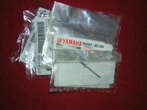 Yamaha TZ250 00-10 Airbox Rivets. (10) Genuine Yamaha. New b49J - Picture 1 of 1