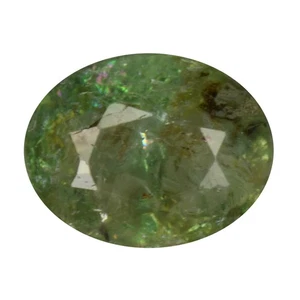 0.51ct Pretty Oval 5.4 x 4.4 MM 100% Natural Green Mozambique PARAIBA TOURMALINE - Picture 1 of 5