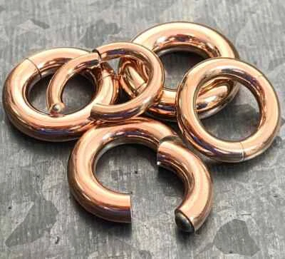 Anillo de segmento con bisagras de calibre grande Clicker de acero quirúrgico 316L fácil y seguro de 1 pieza  Foto 1 de 2