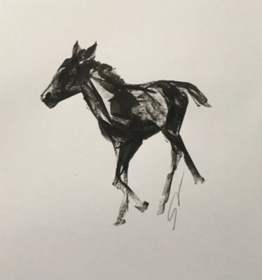 Dibujo de estudio de tinta original firmado pintura de un potro de caballo aprox. A4 Foto 1 de 4