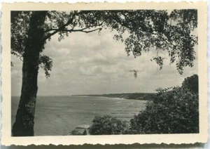 Orig.-Foto WARNICKEN /RAUSCHEN /KÖNIGSBERG /Ostpreussen Hochufer 1936 - Picture 1 of 1