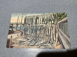 LINEN FLORIDA POSTCARD TWO-HOUR CATCH OF KINGFISH FISHING - Picture 1 of 2